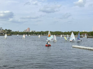 art-regatta-2024-4752