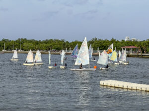 art-regatta-2024-4755