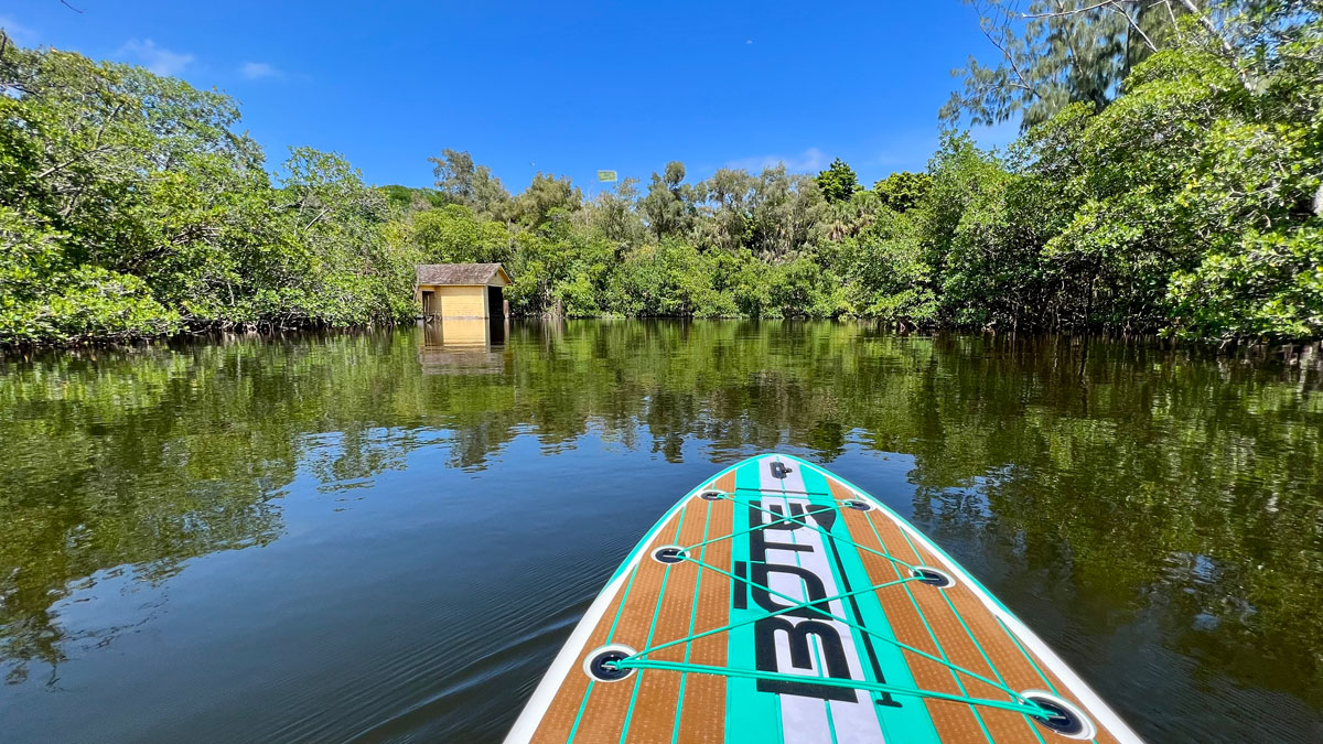 Bonnet House paddle boarding